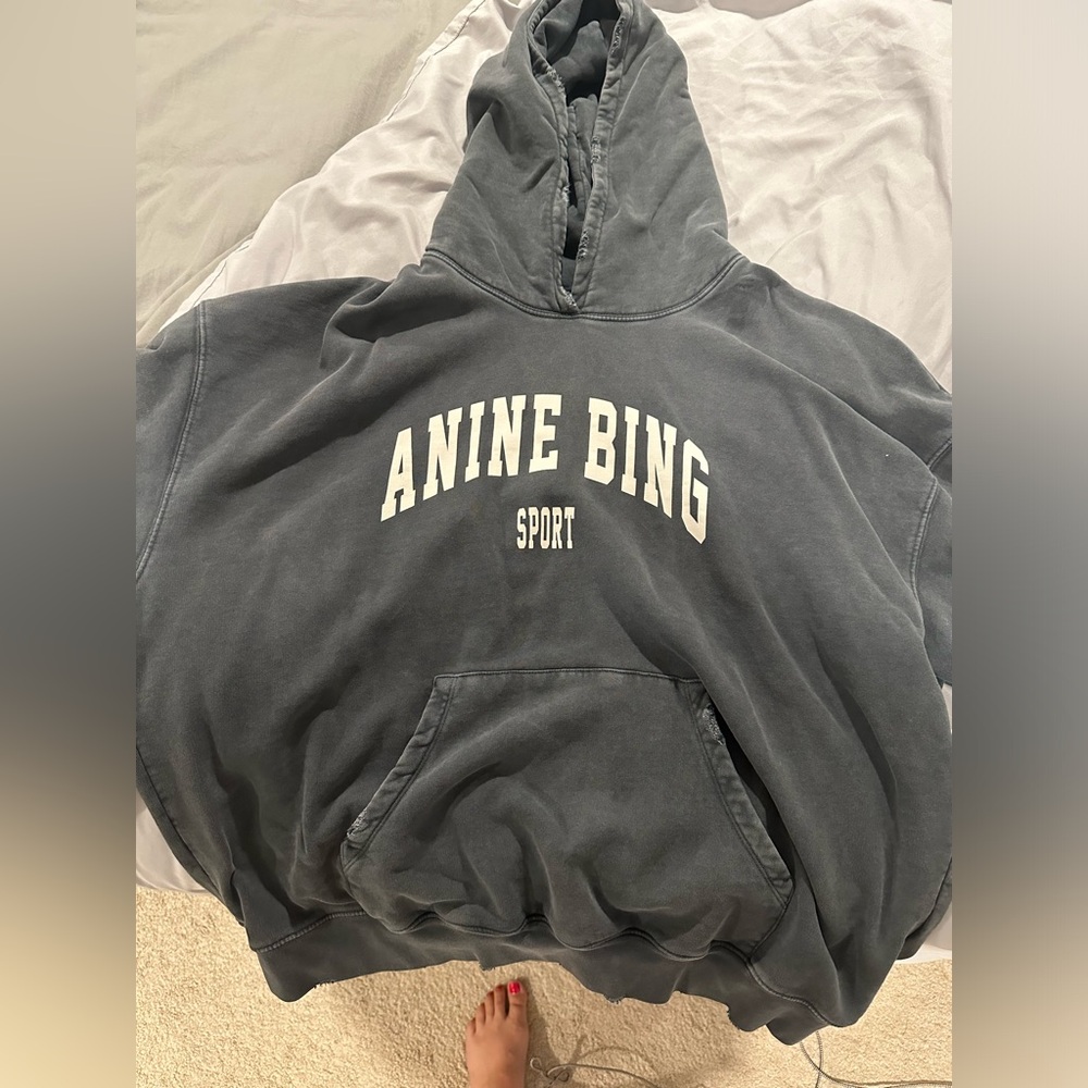 Anine Bing distressed hoodie